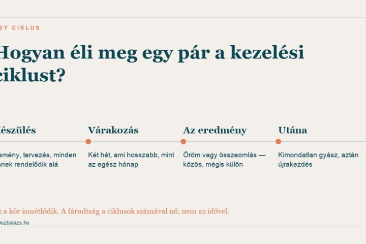 Egy meddőségi kezelési ciklus szakaszai a pár szempontjából